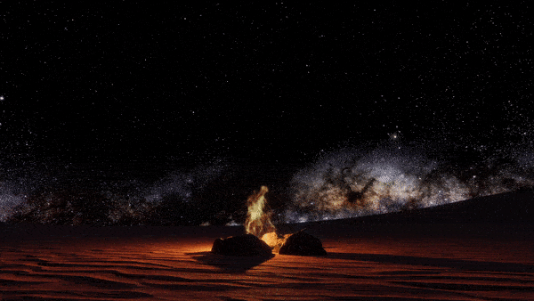 Stary night in the desert